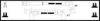 STANDARD 73648 Ignition Cable Kit